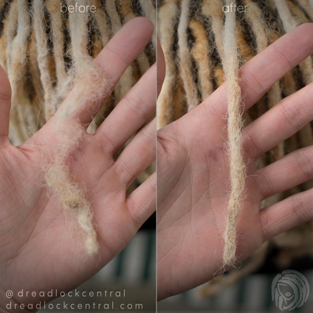 Bleached Dreadlock Repair in Brooklyn