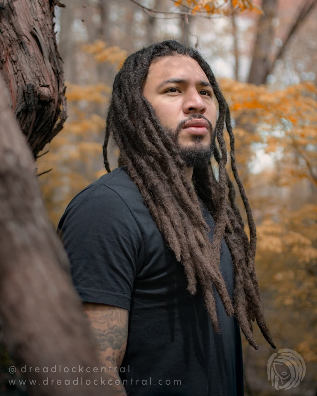 Dreadlock-Central---Hispanic-Dreadlock-Installation-and-Maintenance Hispanic Dreadlock Installation in Woodbridge VA
