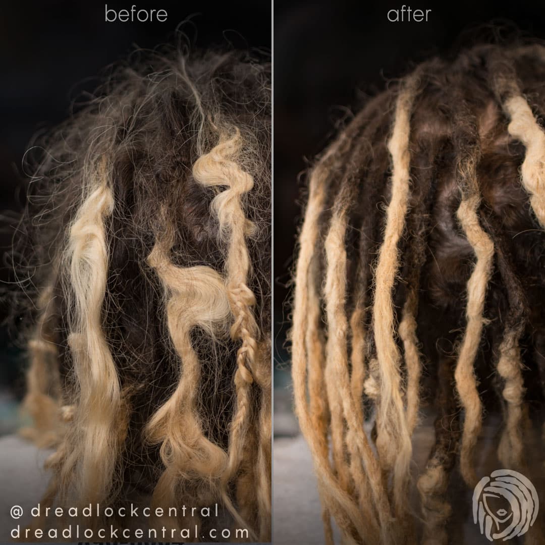 Dreadlock Repair on Caucasian Hair via Crochet Method