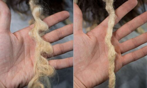 09. Fix Loops and Zig-Zags in Dreadlocks